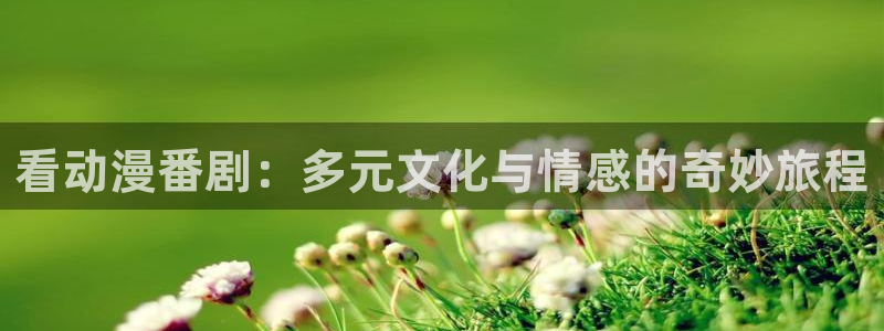 www.omofun.：看动漫番剧：多元文化与情感的奇妙旅程