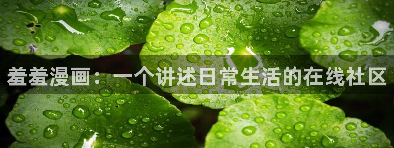 omofun动漫在线观看免费全集：羞羞漫画：一个讲述日常生活的在线社区