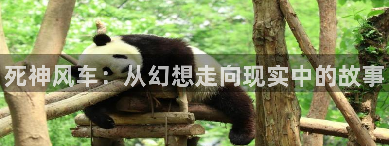 omofun纯净版：死神风车：从幻想走向现实中的故事