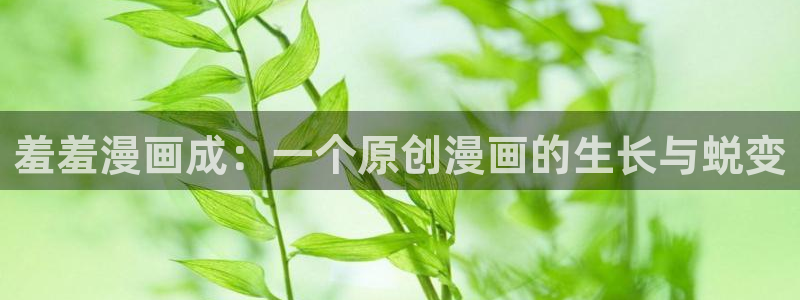 omofun动漫官网入口网址：羞羞漫画成：一个原创漫画的生长与蜕变