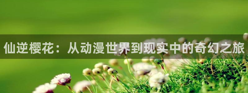 omofun动漫官网入口安卓：仙逆樱花：从动漫世界到现实中的奇幻之旅