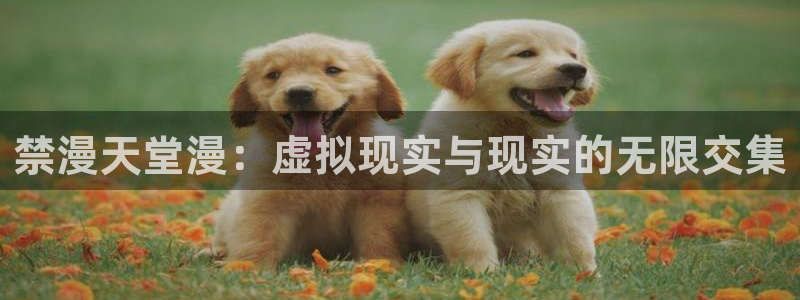 苹果omofun网页版入口：禁漫天堂漫：虚拟现实与现实的无限交集