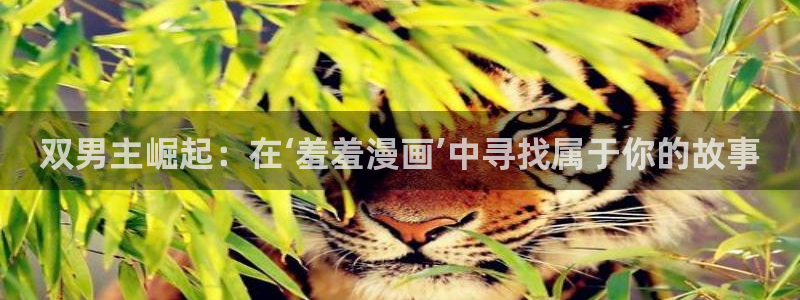 动漫共和国(omofun)：双男主崛起：在‘羞羞漫画’中寻找属于你的故事