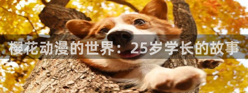 omofun 翻译：樱花动漫的世界：25岁学长的故事
