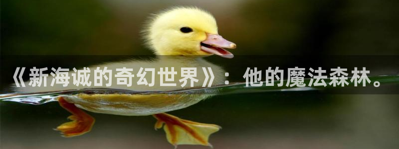 omofun.on：《新海诚的奇幻世界》：他的魔法森林。