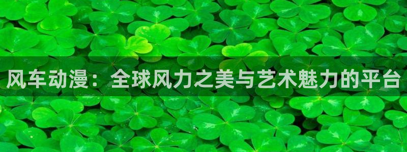 www.omofun.：风车动漫：全球风力之美与艺术魅力的平台