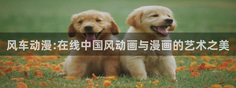 动漫omofun：风车动漫:在线中国风动画与漫画的艺术之美