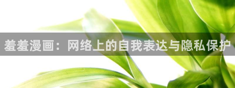 omofun下载的视频在哪：羞羞漫画：网络上的自我表达与隐私保护