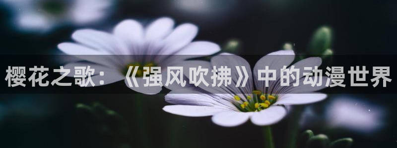 omofun动漫一个：樱花之歌：《强风吹拂》中的动漫世界