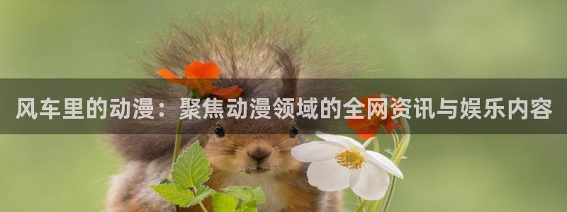 omofun..com：风车里的动漫：聚焦动漫领域的全网资讯与娱乐内容