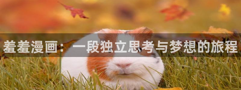 omofun官方：羞羞漫画：一段独立思考与梦想的旅程