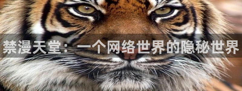 omofun 在线观看：禁漫天堂：一个网络世界的隐秘世界