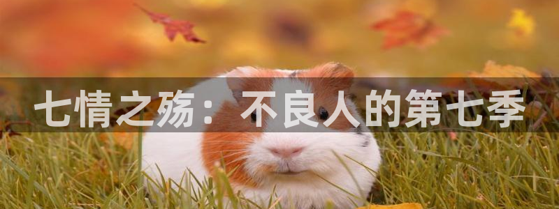 omofun2：七情之殇：不良人的第七季
