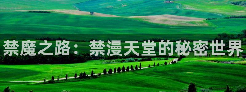 omofun纯净版：禁魔之路：禁漫天堂的秘密世界