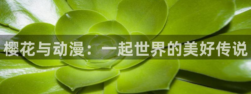 omofun最新下载：樱花与动漫：一起世界的美好传说
